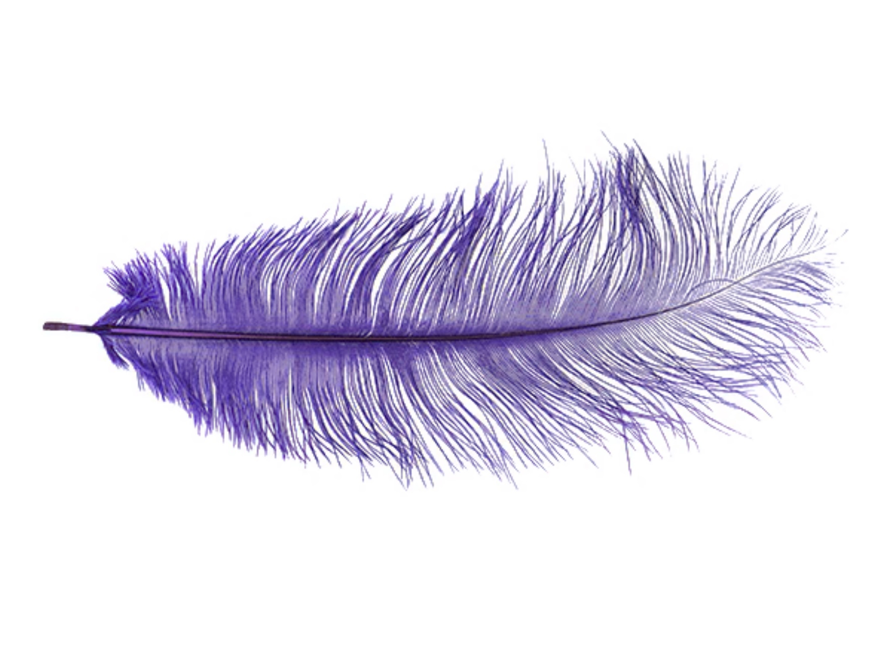 MFC Ostrich Plumes - Purple